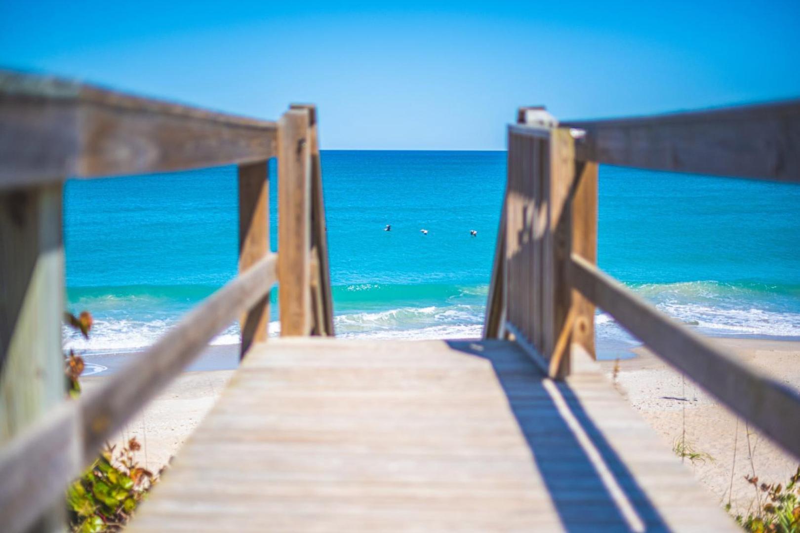 Tranquility Seahorse Suite - Oceanfront Paradise! Melbourne Beach Buitenkant foto