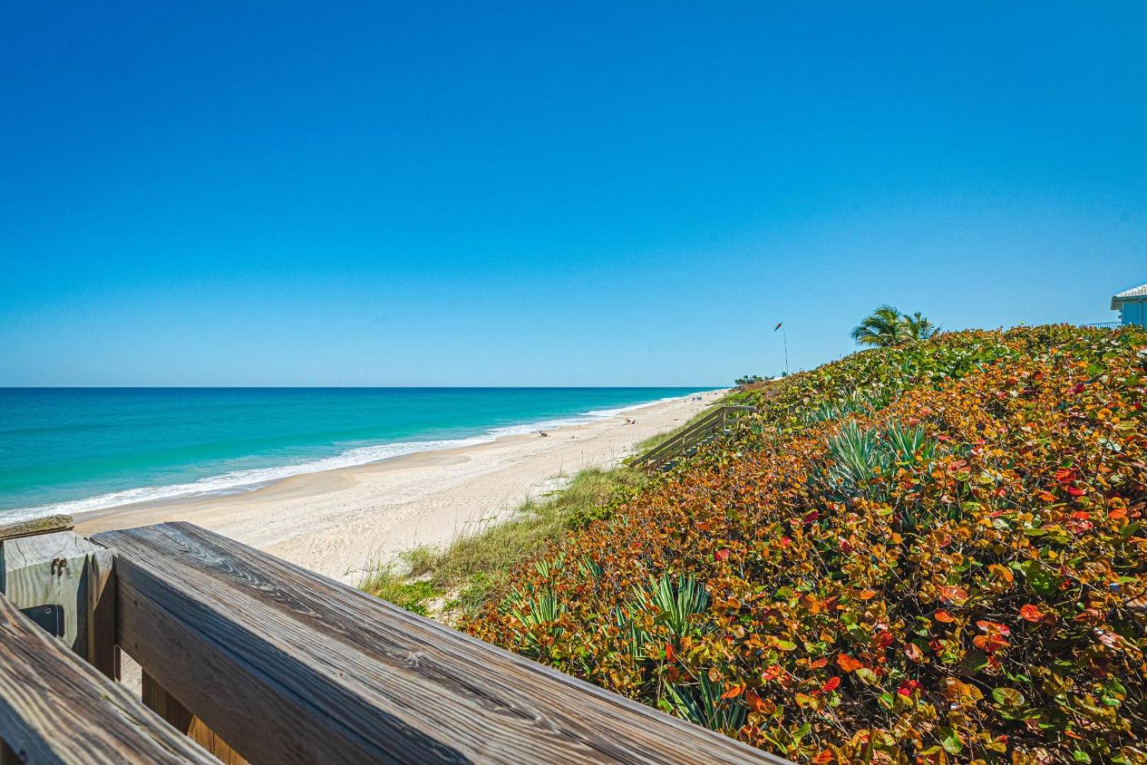 Tranquility Seahorse Suite - Oceanfront Paradise! Melbourne Beach Buitenkant foto